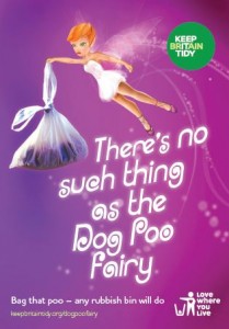 Dog Poo Fairy
